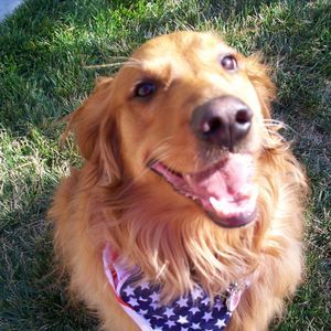 Meet your Posher, Kathleen